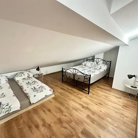 Mountain View Termy Chochołowskie 5 Min *