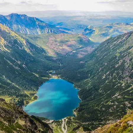 Mountain View Termy Chochołowskie 5 Min Apartament