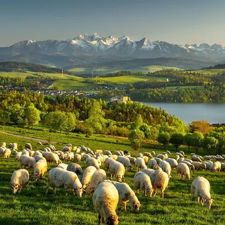 Mountain View Termy Chocholowskie 5 Min * Suchá Hora