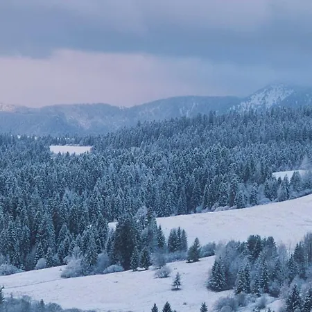 Apartament Mountain View Termy Chochołowskie 5 Min