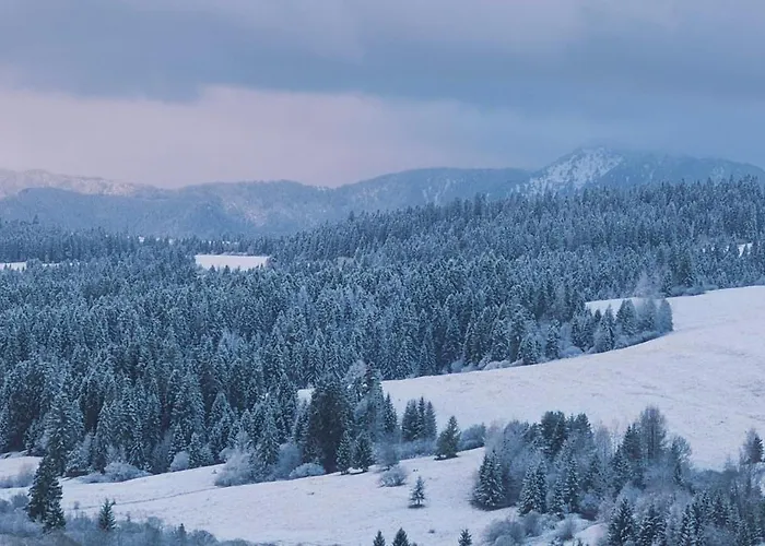Διαμέρισμα Mountain View Termy Chocholowskie 5 Min